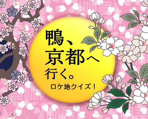 オール京都ロケ！松下奈緒さん主演「鴨、京都へ行く。」ロケ地クイズ